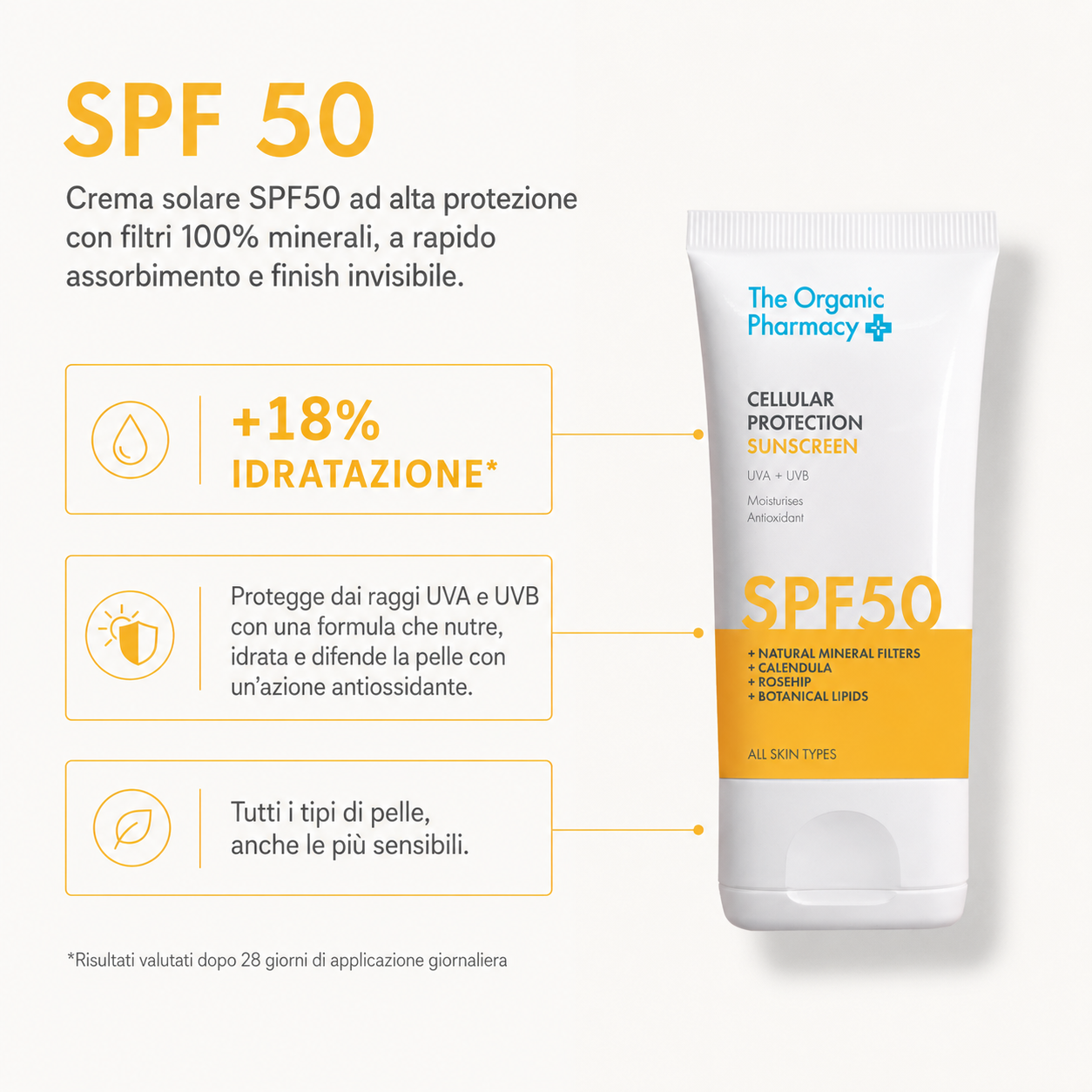 The Everyday Duo - SPF50