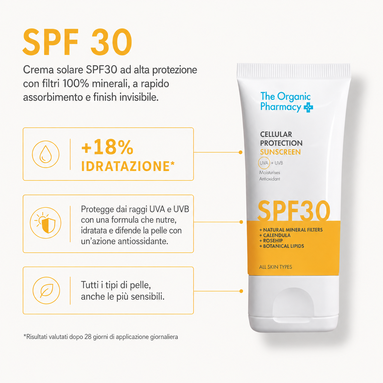 The Everyday Duo - SPF30